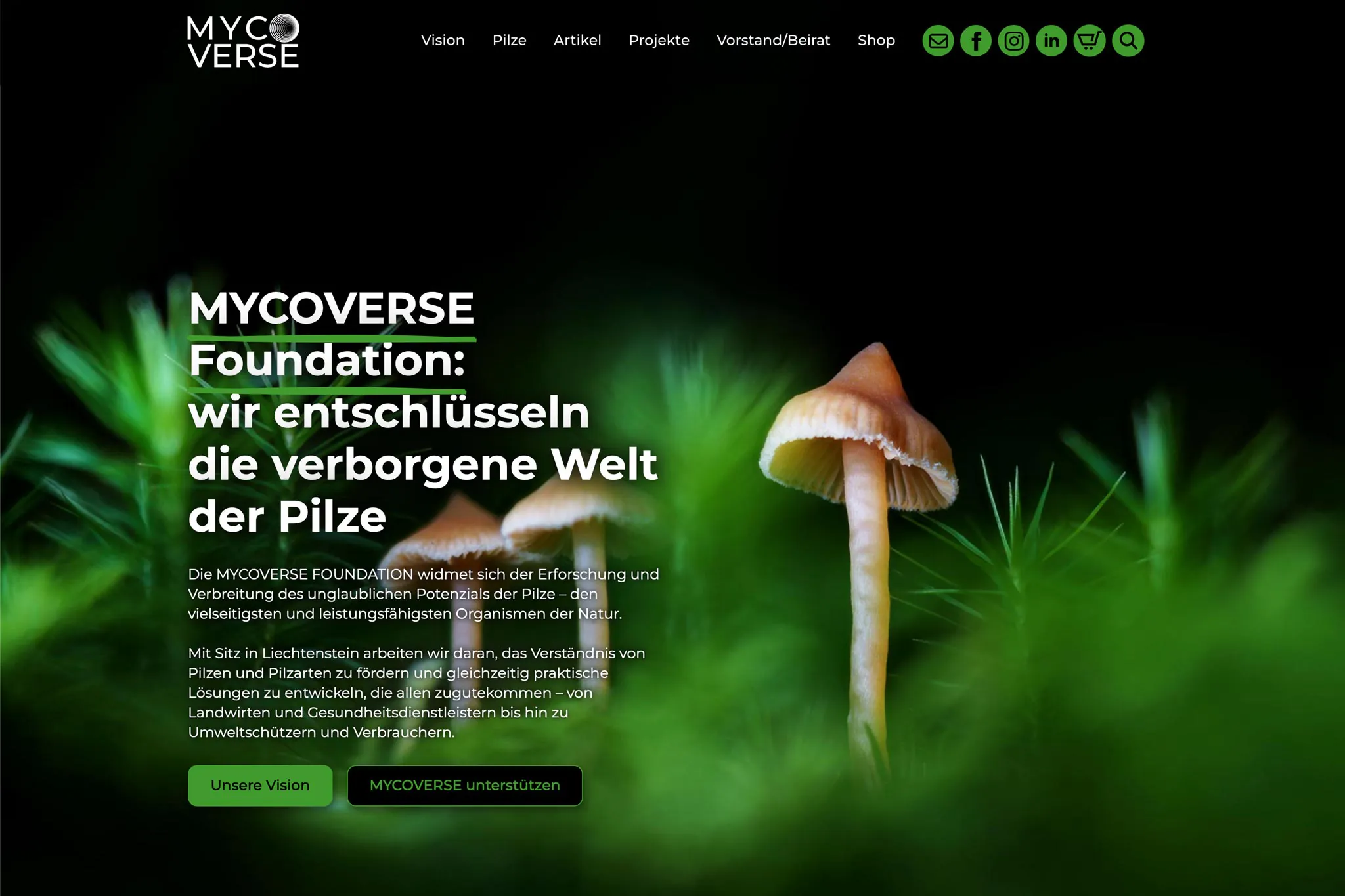 MYCOVERSE Foundation Website - by RLAND