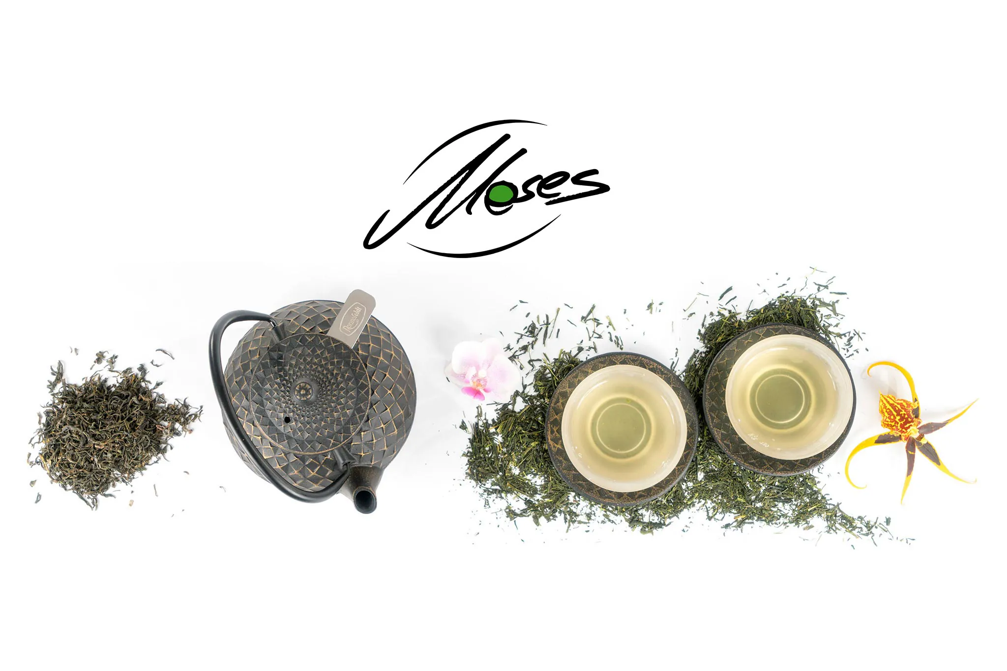 Moses Tee Shop - by RLAND